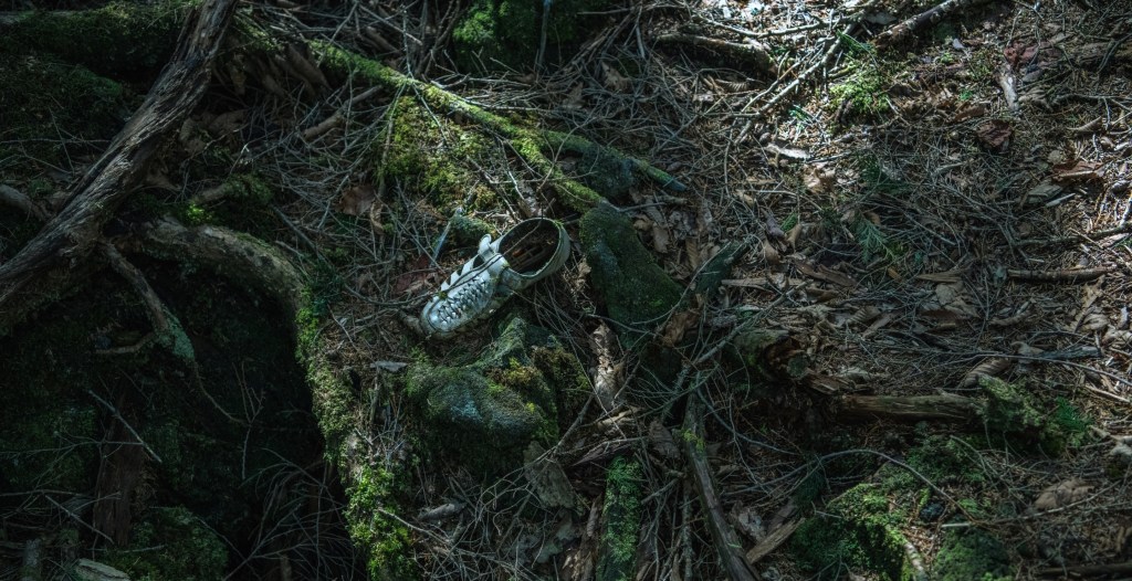 7. Aokigahara Forest, Japan (4.3/5) 