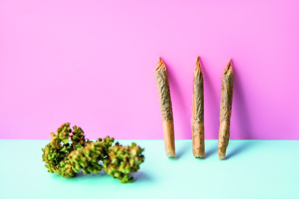 Two Steps Back: These States Could Repeal Their Legal Cannabis Markets in 2026