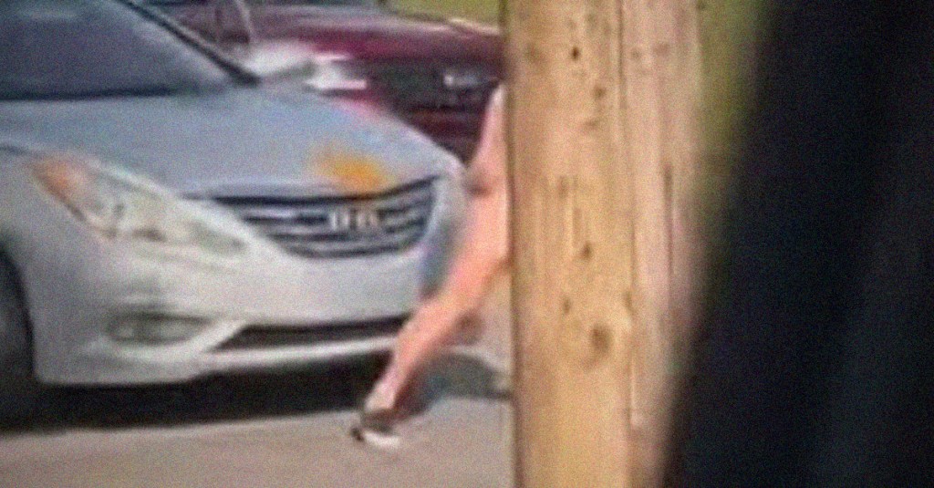 Road Rage Incident Ended With OnlyFans Model Pooping on a Car