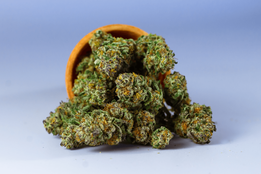 Trump Just Signed An Executive Order to Reschedule Cannabis, Expand CBD Access 